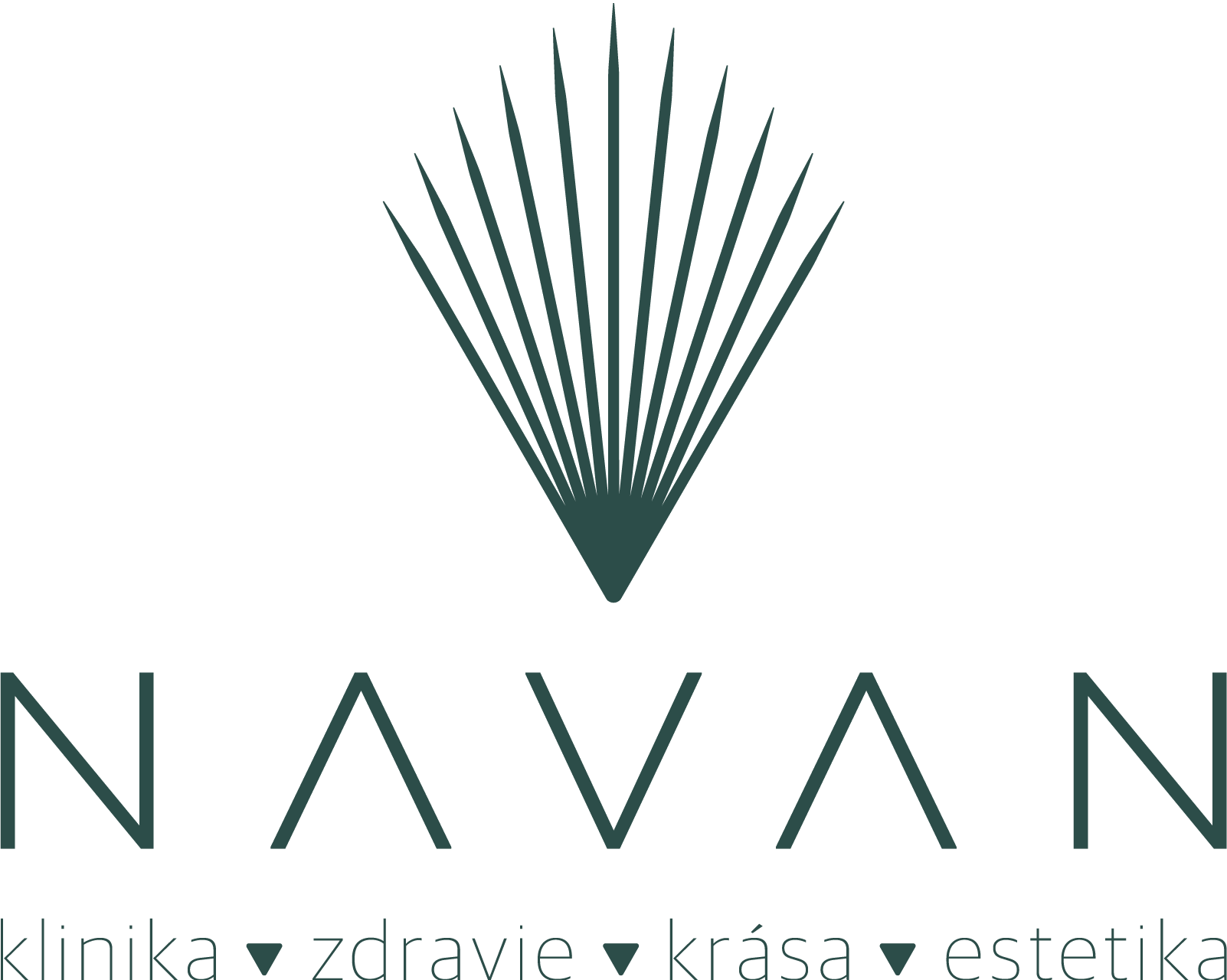 navan-logo-color